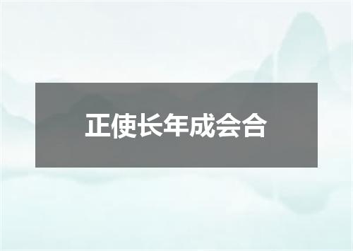 正使长年成会合