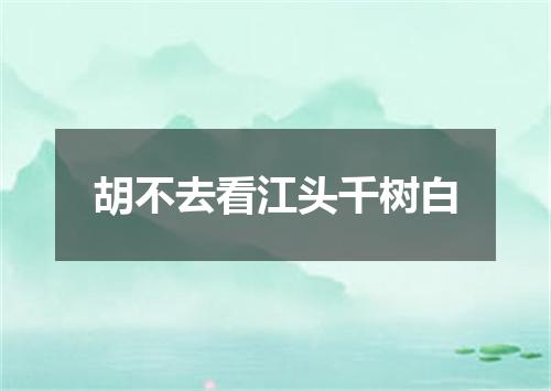 胡不去看江头千树白