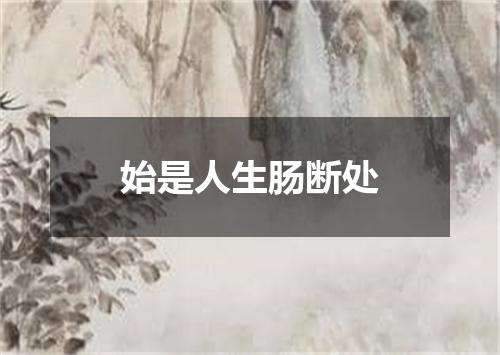 始是人生肠断处