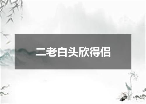 二老白头欣得侣