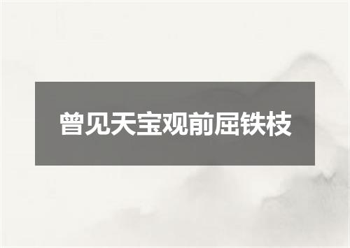 曾见天宝观前屈铁枝