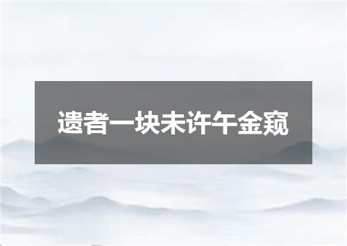 遗者一块未许午金窥