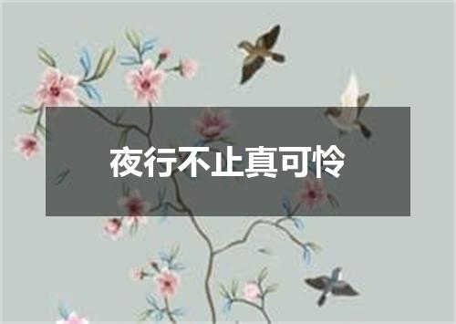 夜行不止真可怜