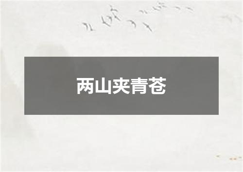两山夹青苍