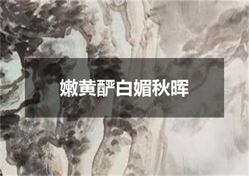嫩黄酽白媚秋晖