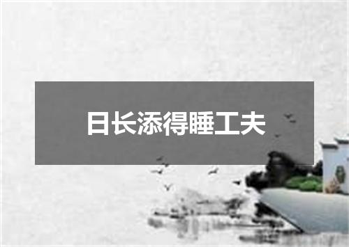 日长添得睡工夫