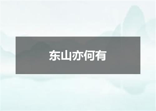 东山亦何有