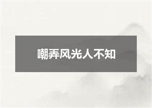 嘲弄风光人不知