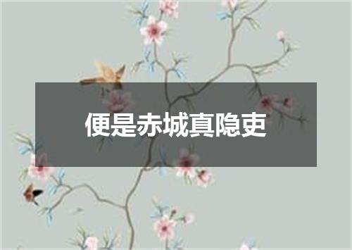 便是赤城真隐吏