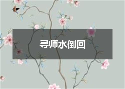 寻师水倒回