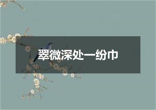 翠微深处一纷巾