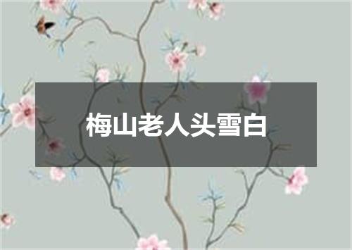 梅山老人头雪白