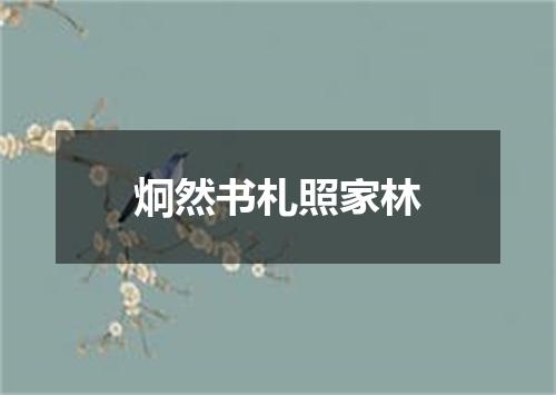 炯然书札照家林