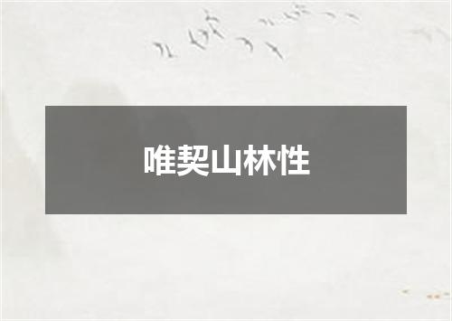 唯契山林性