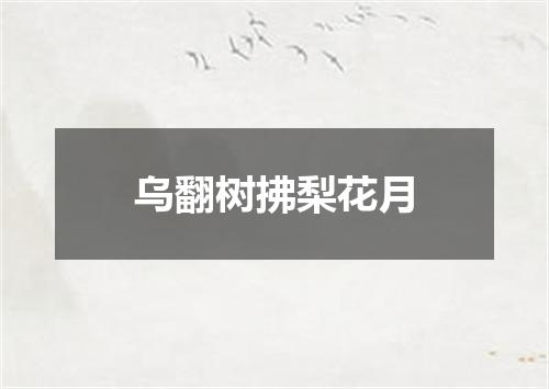 乌翻树拂梨花月