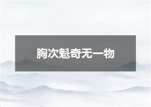 胸次魁奇无一物