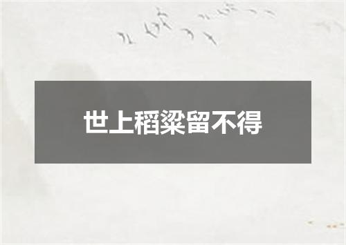 世上稻粱留不得