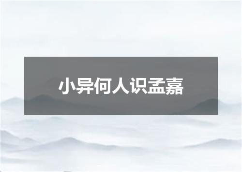 小异何人识孟嘉