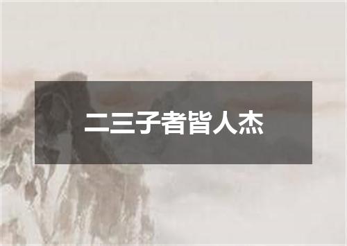 二三子者皆人杰