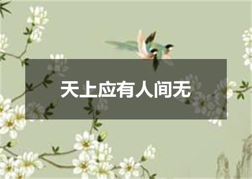 天上应有人间无