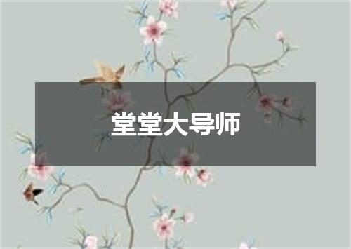 堂堂大导师