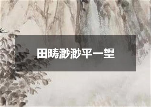 田畴渺渺平一望