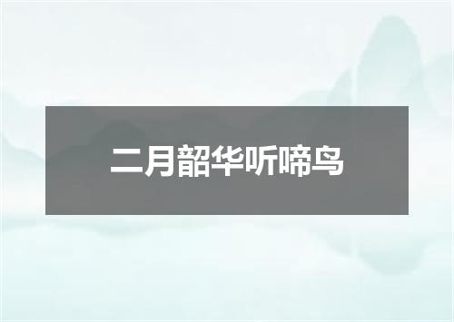 二月韶华听啼鸟