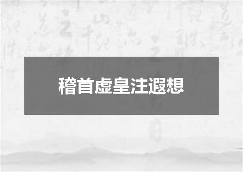 稽首虚皇注遐想