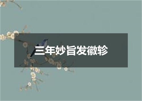 三年妙旨发徽轸