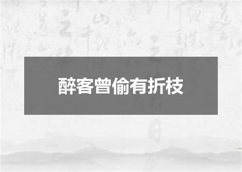 醉客曾偷有折枝