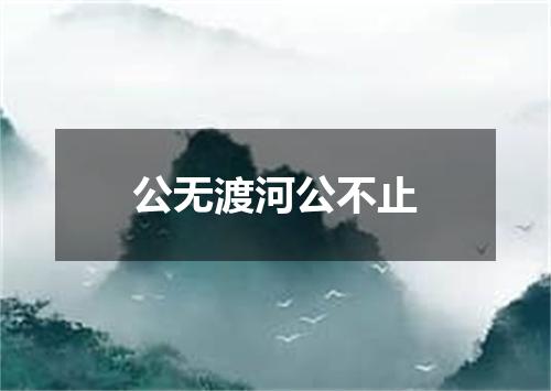 公无渡河公不止
