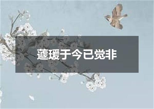 蘧瑗于今已觉非
