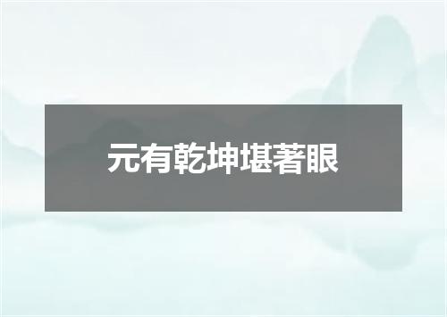 元有乾坤堪著眼
