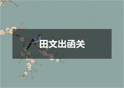 田文出函关