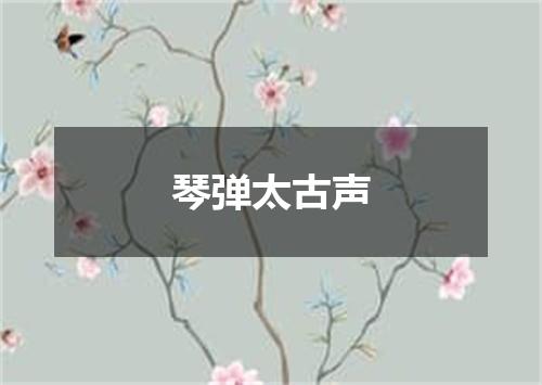 琴弹太古声