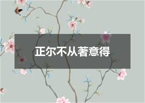 正尔不从著意得