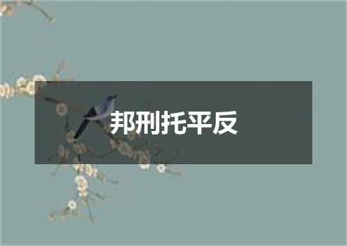邦刑托平反