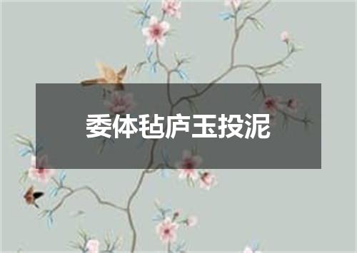 委体毡庐玉投泥
