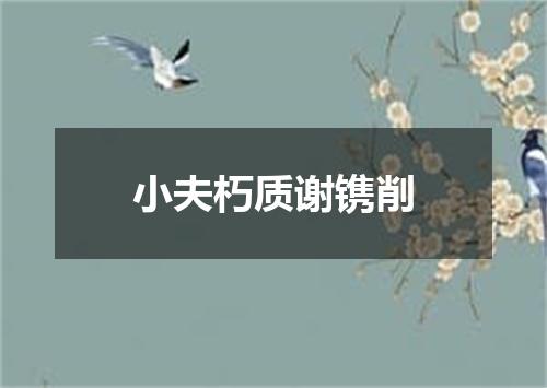 小夫朽质谢镌削