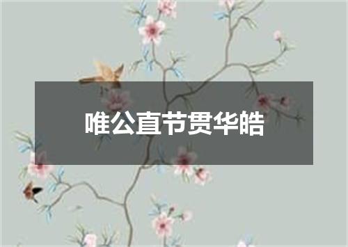 唯公直节贯华皓
