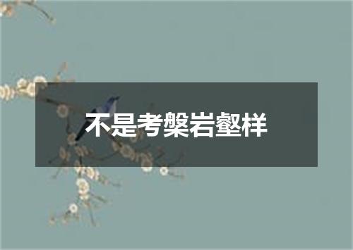 不是考槃岩壑样