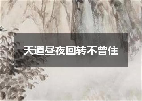 天道昼夜回转不曾住