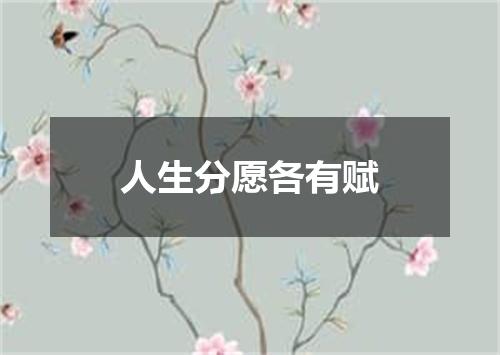 人生分愿各有赋