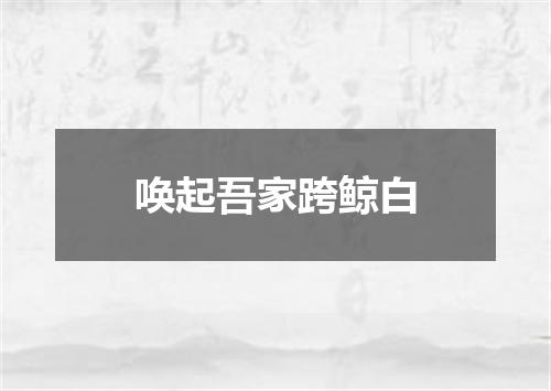 唤起吾家跨鲸白