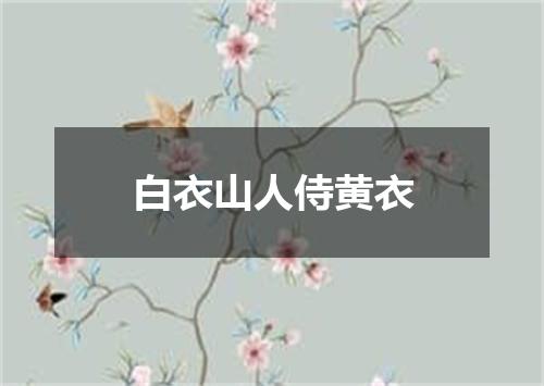 白衣山人侍黄衣