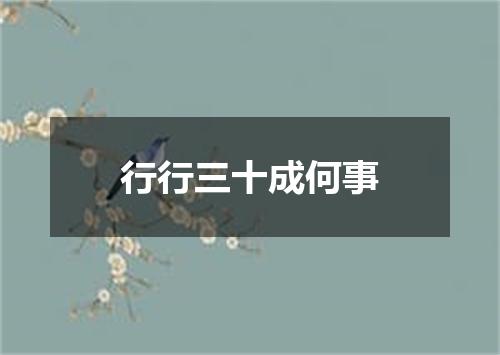 行行三十成何事