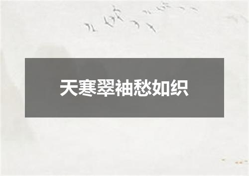 天寒翠袖愁如织