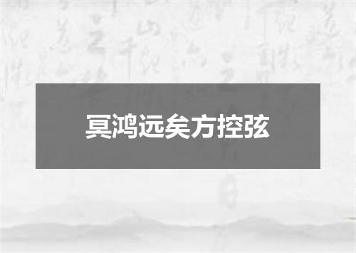 冥鸿远矣方控弦