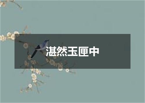 湛然玉匣中