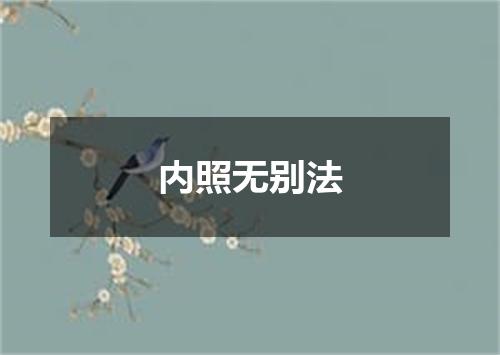 内照无别法